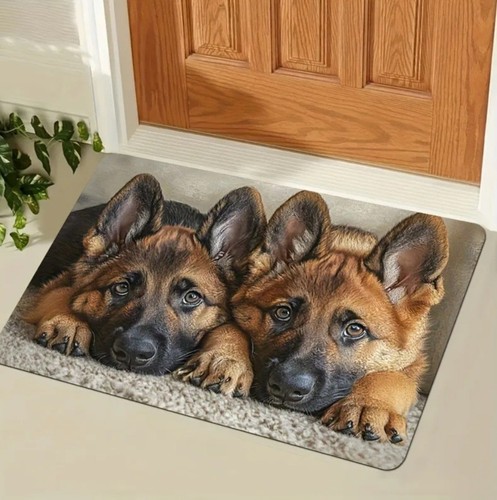Gorgeous german shepherd dog - shepherd,