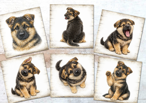 German shepherd puppies card - german,
