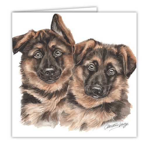 German shepherd puppies - german,