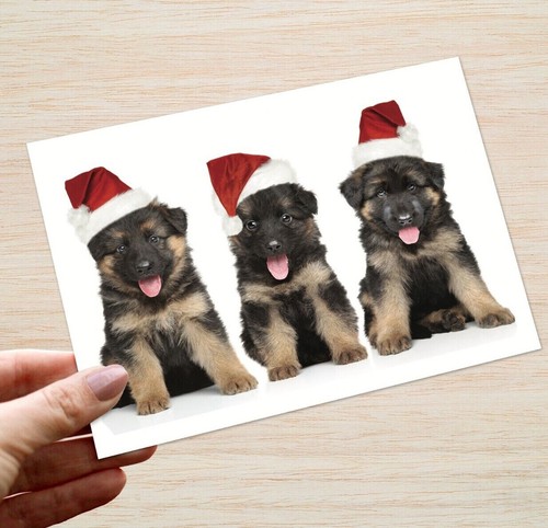 German shepherd christmas - german,
