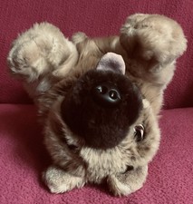 Keel Cuddle Puppies Alsatian