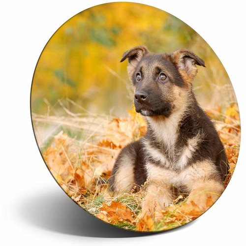 Awesome fridge magnet german - fridge,