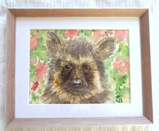 German Shepherd puppy dog