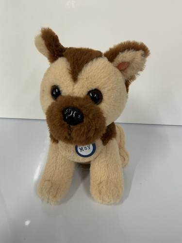 Battersea dog puppy - battersea, may