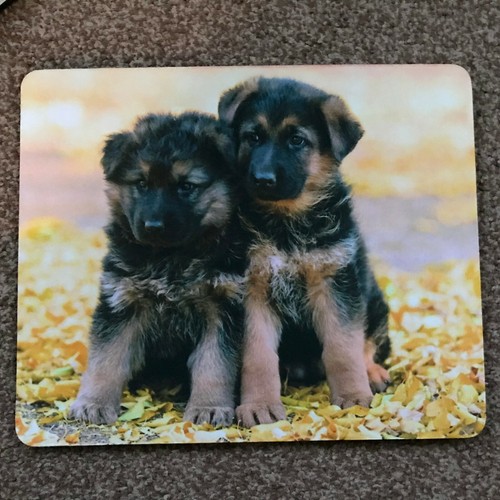 German shepherd puppies mouse - german,