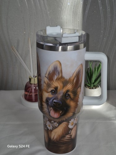 Beautiful 40z german shepherd - german,
