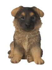 Alsatian German Shepherd Puppy