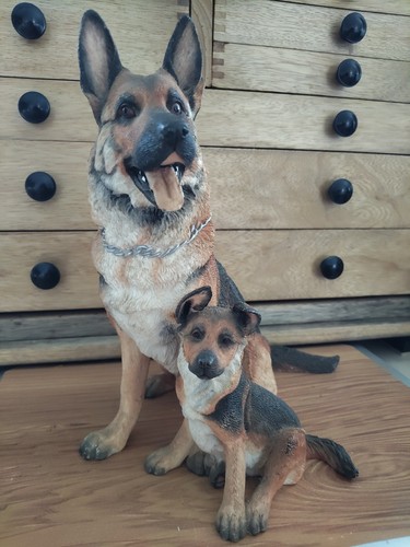 German shepherd dog and puppy - dog,