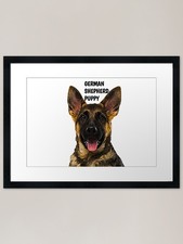 German Shepherd Puppy Framed